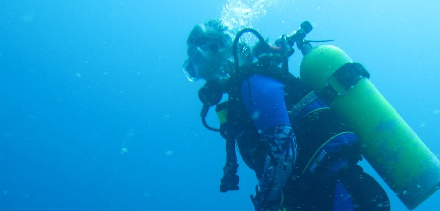 Aquarium Bay