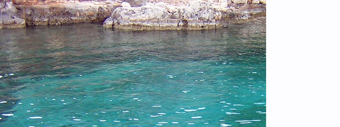 Three Islands: Adventure Reef