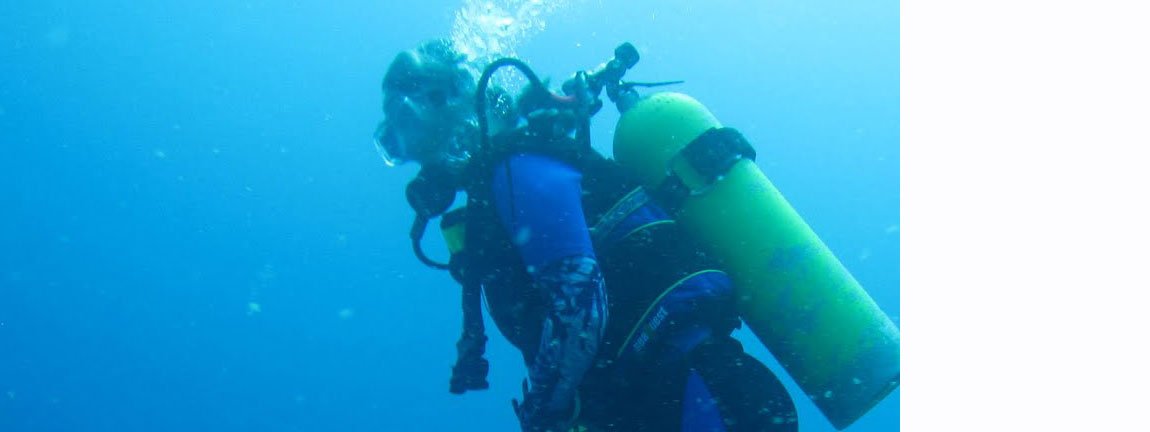 Aquarium Bay