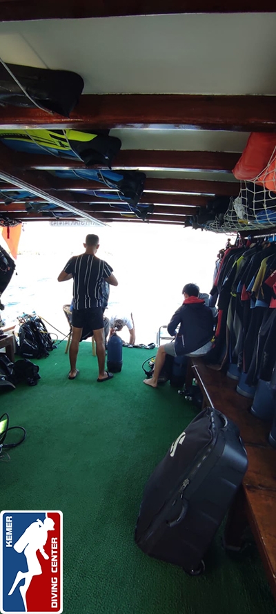 DivingKemer09.jpg