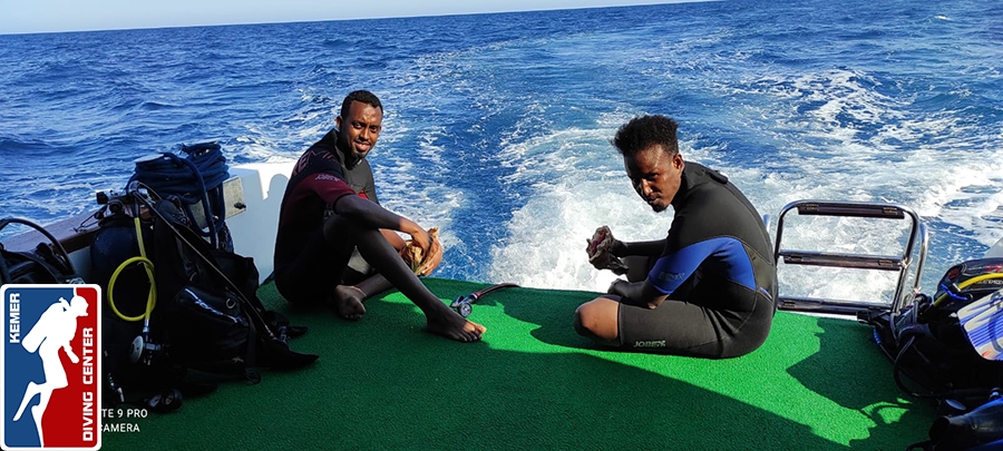 DivingKemer28.jpg