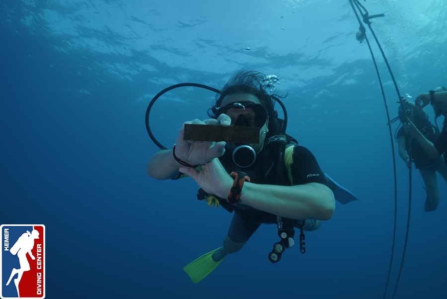 DivingKemer36.jpg